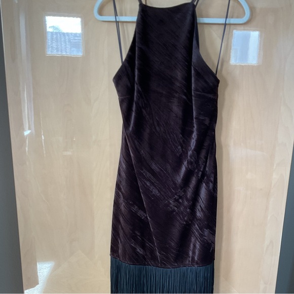 NWT viral Zara velvet fringe dress-Sold Out - Picture 6 of 8